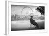 Dreaming in Paris-Moises Levy-Framed Photographic Print