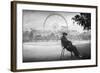 Dreaming in Paris-Moises Levy-Framed Photographic Print