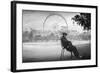 Dreaming in Paris-Moises Levy-Framed Photographic Print