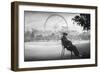 Dreaming in Paris-Moises Levy-Framed Photographic Print