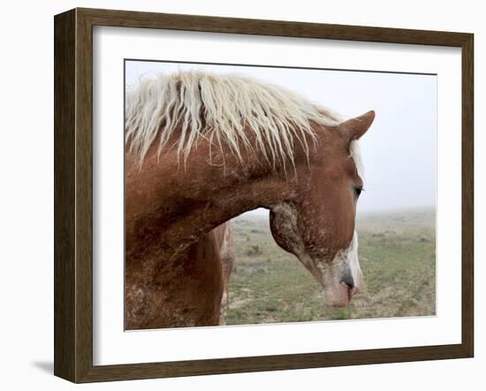 Dreaming in the Mist-Amanda Lee Smith-Framed Giclee Print