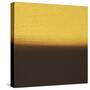 Dreaming of 21 Sunsets - XX-Hilary Winfield-Stretched Canvas