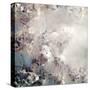 Dreaming of Cherry Blossoms Square-Kimberly Allen-Stretched Canvas