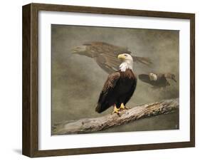 Dreaming of Freedom Bald Eagles-Jai Johnson-Framed Giclee Print