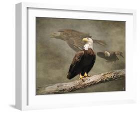 Dreaming of Freedom Bald Eagles-Jai Johnson-Framed Giclee Print