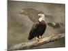 Dreaming of Freedom Bald Eagles-Jai Johnson-Mounted Giclee Print