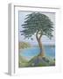 Dreaming of Trees on Portland, 2001-Liz Wright-Framed Giclee Print