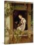 Dreaming on the Windowsill-August Friedrich Siegert-Stretched Canvas