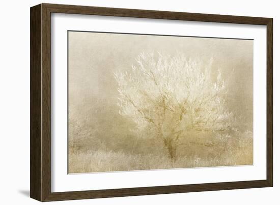 Dreaming Tree-Kimberly Allen-Framed Art Print