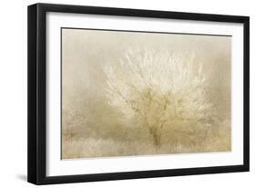 Dreaming Tree-Kimberly Allen-Framed Art Print