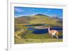 Dreamland Patagonia. Blue Water Grassy Lake, on  Hill Stands Beautiful Guanaco. National Park Torre-kavram-Framed Photographic Print