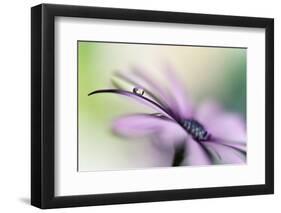 Dreamlike II-Heidi Westum-Framed Photographic Print