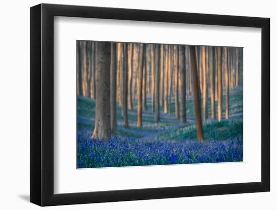 Dreams are made of these-Adrian Popan-Framed Photographic Print