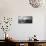 Dreams B+W-Bjorn Wennerwald-Mounted Giclee Print displayed on a wall