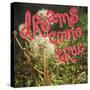 Dreams Come True-Kimberly Glover-Stretched Canvas