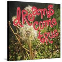 Dreams Come True-Kimberly Glover-Stretched Canvas