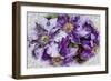 Dreams of Lilac Clematis-Dorothy Berry-Lound-Framed Giclee Print