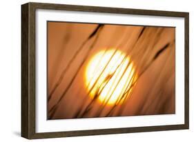 Dreams of the Sun-Adrian Campfield-Framed Giclee Print