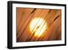 Dreams of the Sun-Adrian Campfield-Framed Giclee Print