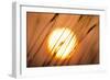 Dreams of the Sun-Adrian Campfield-Framed Giclee Print