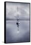 Dreams on Lake Windermere!-Adrian Campfield-Framed Stretched Canvas