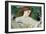 Dreams-Frederick William Burton-Framed Giclee Print