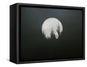 Dreamscape-Art Wolfe-Framed Stretched Canvas