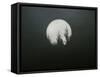 Dreamscape-Art Wolfe-Framed Stretched Canvas