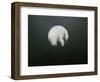 Dreamscape-Art Wolfe-Framed Photographic Print