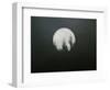 Dreamscape-Art Wolfe-Framed Photographic Print