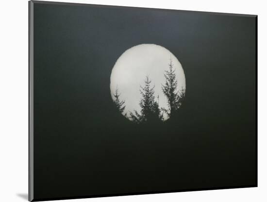 Dreamscape-Art Wolfe-Mounted Photographic Print