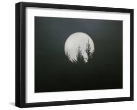 Dreamscape-Art Wolfe-Framed Photographic Print