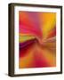 Dreamscape-Ruth Palmer-Framed Art Print