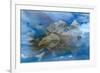 Dreamscape-Gordon Semmens-Framed Giclee Print