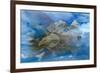 Dreamscape-Gordon Semmens-Framed Giclee Print