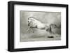 Dreamstate Equus-null-Framed Premium Giclee Print