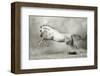 Dreamstate Equus-null-Framed Premium Giclee Print