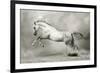 Dreamstate Equus-null-Framed Premium Giclee Print