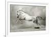 Dreamstate Equus-null-Framed Premium Giclee Print