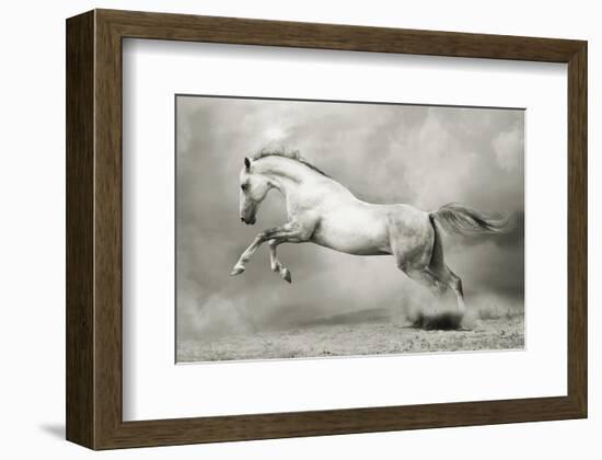 Dreamstate Equus-null-Framed Art Print