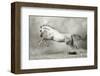 Dreamstate Equus-null-Framed Art Print