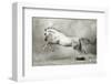 Dreamstate Equus-null-Framed Art Print