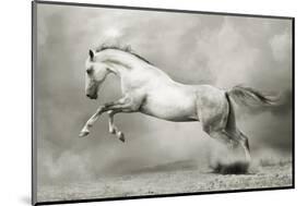 Dreamstate Equus-null-Mounted Art Print
