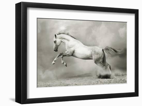 Dreamstate Equus-null-Framed Art Print