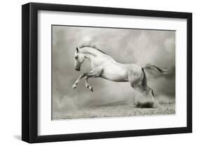 Dreamstate Equus-null-Framed Art Print