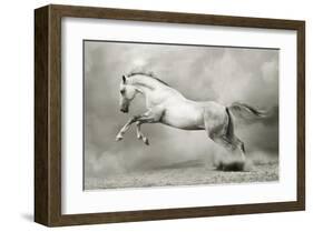 Dreamstate Equus-null-Framed Art Print