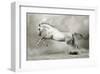 Dreamstate Equus-null-Framed Art Print