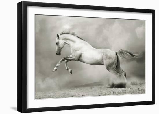 Dreamstate Equus-null-Framed Art Print
