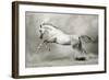 Dreamstate Equus-null-Framed Art Print