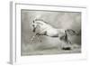 Dreamstate Equus-null-Framed Art Print